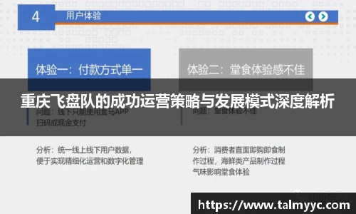 重庆飞盘队的成功运营策略与发展模式深度解析