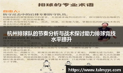 杭州排球队的节奏分析与战术探讨助力排球竞技水平提升