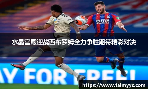 必一体育