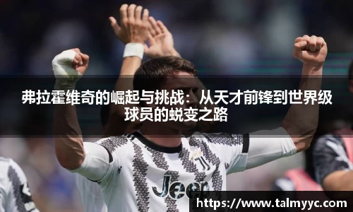 弗拉霍维奇的崛起与挑战：从天才前锋到世界级球员的蜕变之路