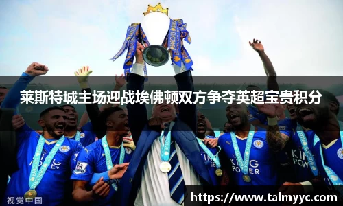 莱斯特城主场迎战埃佛顿双方争夺英超宝贵积分