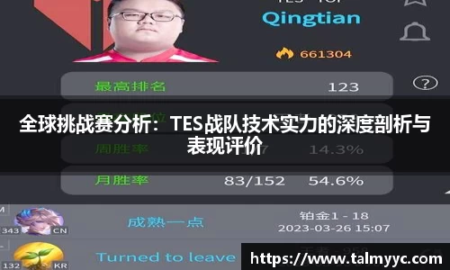 全球挑战赛分析：TES战队技术实力的深度剖析与表现评价