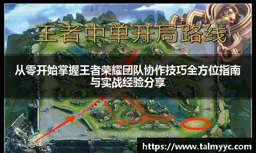 从零开始掌握王者荣耀团队协作技巧全方位指南与实战经验分享